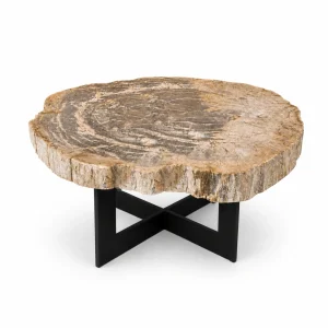 Petrified Wood Coffee Table Small