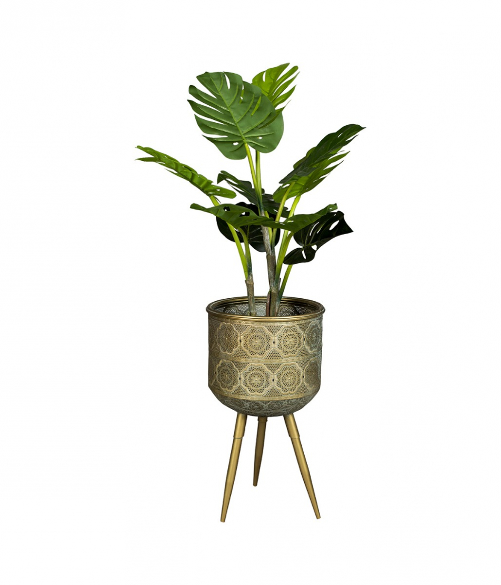 Botanique Plant Stand L