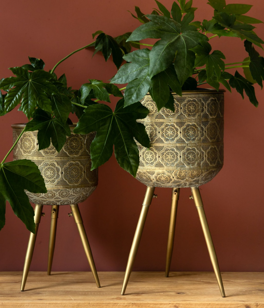 set30-15_1200x1400_1